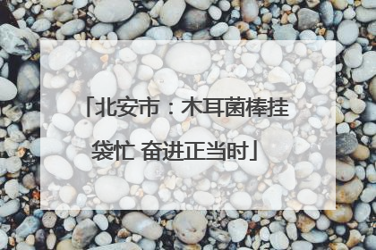北安市：木耳菌棒挂袋忙 奋进正当时