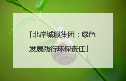 北岸城服集团：绿色发展践行环保责任