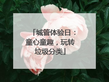 城管体验日：童心童趣，玩转垃圾分类
