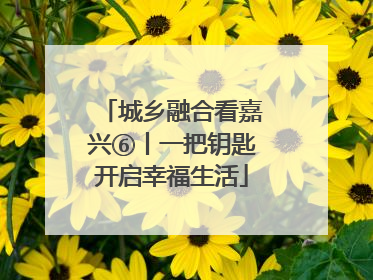 城乡融合看嘉兴⑥丨一把钥匙开启幸福生活