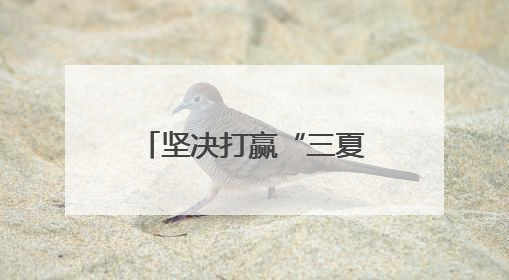 坚决打赢“三夏”攻坚战丨跟着麦客看“三夏”