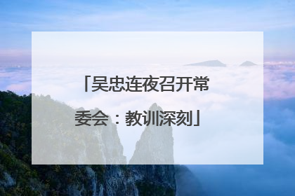 吴忠连夜召开常委会：教训深刻