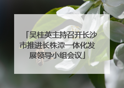 吴桂英主持召开长沙市推进长株潭一体化发展领导小组会议