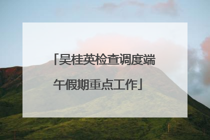 吴桂英检查调度端午假期重点工作