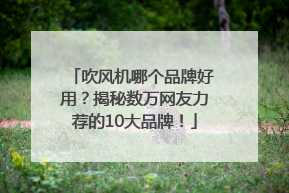 吹风机哪个品牌好用？揭秘数万网友力荐的10大品牌！
