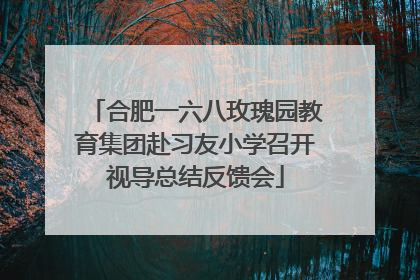 合肥一六八玫瑰园教育集团赴习友小学召开视导总结反馈会