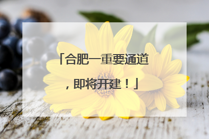 合肥一重要通道，即将开建！