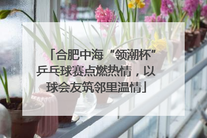 合肥中海“领潮杯”乒乓球赛点燃热情，以球会友筑邻里温情