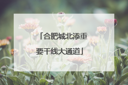 合肥城北添重要干线大通道
