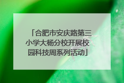 合肥市安庆路第三小学大杨分校开展校园科技周系列活动