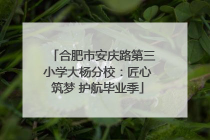 合肥市安庆路第三小学大杨分校：匠心筑梦 护航毕业季