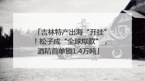 吉林特产出海“开挂”！松子成“全球爆款”，酒精首单锁1.4万吨