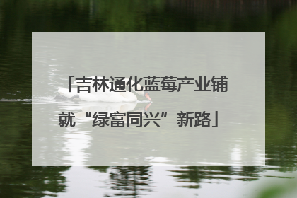 吉林通化蓝莓产业铺就“绿富同兴”新路