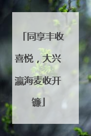同享丰收喜悦，大兴瀛海麦收开镰