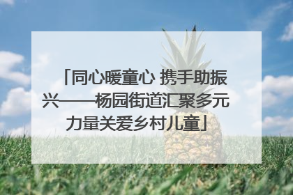 同心暖童心 携手助振兴——杨园街道汇聚多元力量关爱乡村儿童