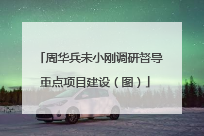 周华兵未小刚调研督导重点项目建设（图）