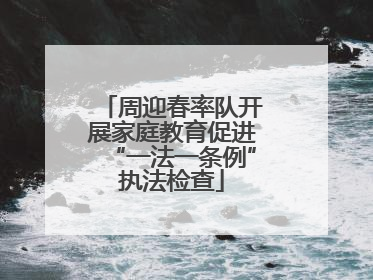 周迎春率队开展家庭教育促进“一法一条例”执法检查