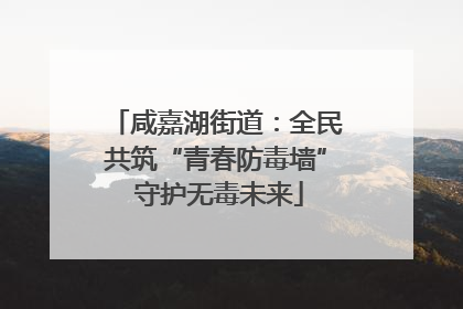 咸嘉湖街道：全民共筑“青春防毒墙” 守护无毒未来
