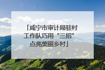 咸宁市审计局驻村工作队巧用“三招”点亮美丽乡村