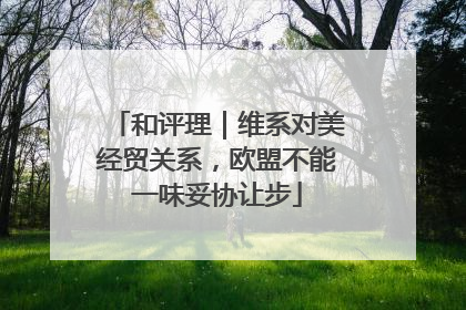 和评理｜维系对美经贸关系，欧盟不能一味妥协让步