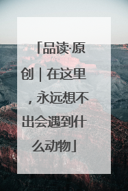 品读·原创｜在这里，永远想不出会遇到什么动物