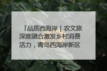 品质西海岸｜农文旅深度融合激发乡村消费活力，青岛西海岸新区的乡村振兴实践