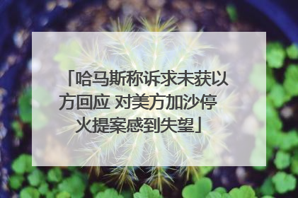 哈马斯称诉求未获以方回应 对美方加沙停火提案感到失望