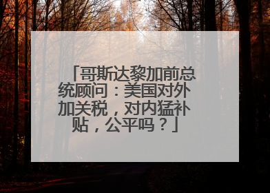 哥斯达黎加前总统顾问：美国对外加关税，对内猛补贴，公平吗？