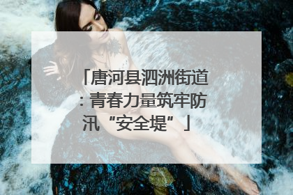 唐河县泗洲街道：青春力量筑牢防汛“安全堤”