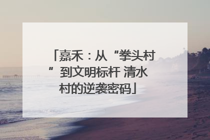 嘉禾：从“拳头村”到文明标杆 清水村的逆袭密码