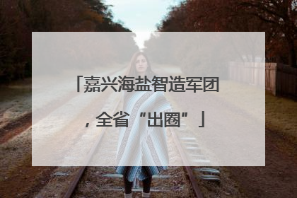 嘉兴海盐智造军团，全省“出圈”