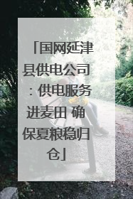 国网延津县供电公司：供电服务进麦田 确保夏粮稳归仓