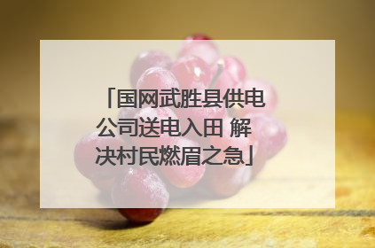 国网武胜县供电公司送电入田 解决村民燃眉之急