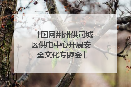 国网荆州供司城区供电中心开展安全文化专题会