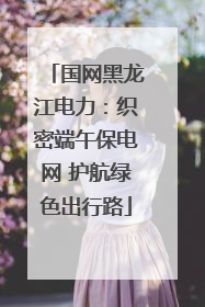 国网黑龙江电力：织密端午保电网 护航绿色出行路