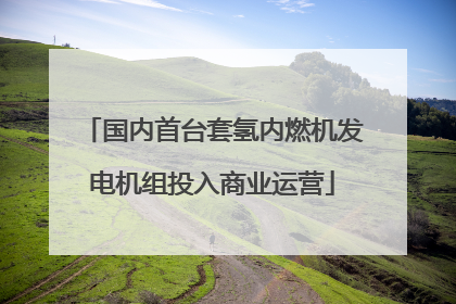 国内首台套氢内燃机发电机组投入商业运营