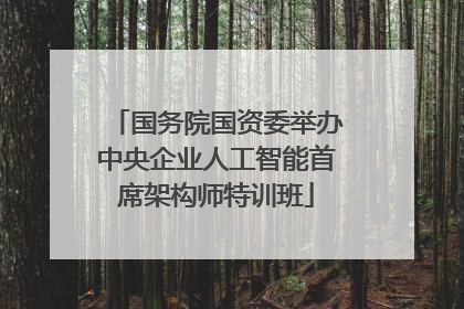 国务院国资委举办中央企业人工智能首席架构师特训班