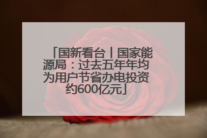 国新看台丨国家能源局：过去五年年均为用户节省办电投资约600亿元