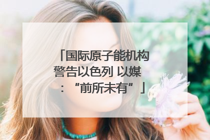 国际原子能机构警告以色列 以媒：“前所未有”