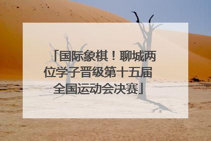 国际象棋！聊城两位学子晋级第十五届全国运动会决赛