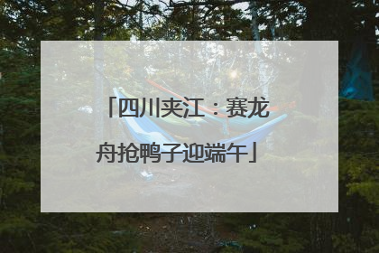 四川夹江：赛龙舟抢鸭子迎端午