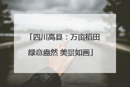 四川高县：万亩稻田绿意盎然 美景如画