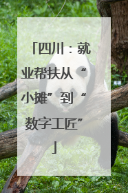 四川：就业帮扶从“小摊”到“数字工匠”