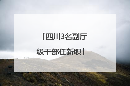 四川3名副厅级干部任新职