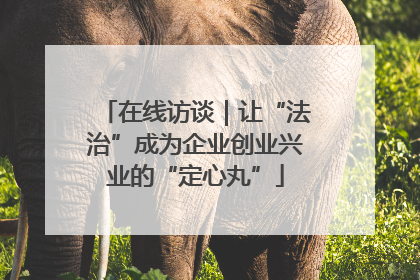 在线访谈｜让“法治”成为企业创业兴业的“定心丸”