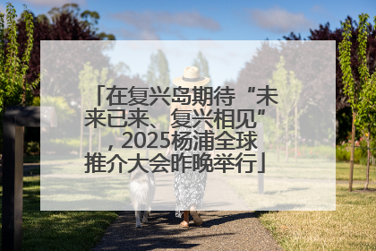 在复兴岛期待“未来已来、复兴相见”，2025杨浦全球推介大会昨晚举行