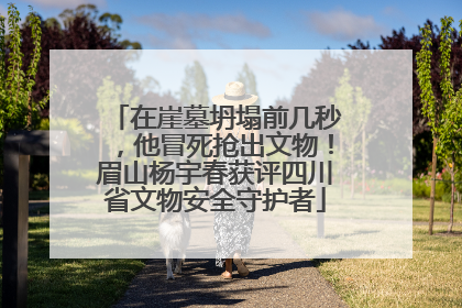 在崖墓坍塌前几秒，他冒死抢出文物！眉山杨宇春获评四川省文物安全守护者