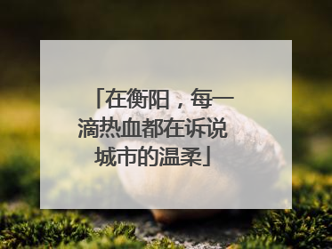 在衡阳，每一滴热血都在诉说城市的温柔