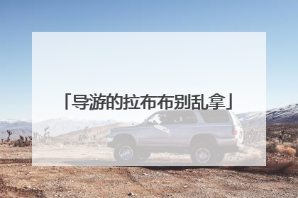 导游的拉布布别乱拿