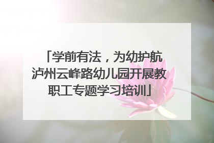 学前有法，为幼护航 泸州云峰路幼儿园开展教职工专题学习培训